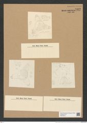 Triceratium notabile Grev. (de-Toni-Nr.: Genus 140, Species 3952) Zeichnungen Sammlung Grunow Nr. 7432 (NHMW-BOT-W0376516)